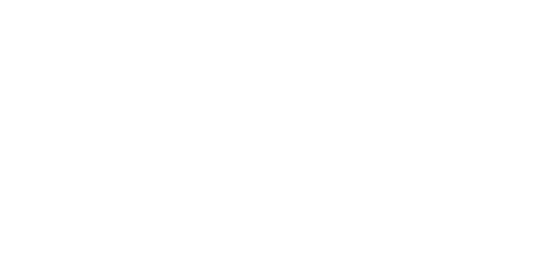 AI Training Skool